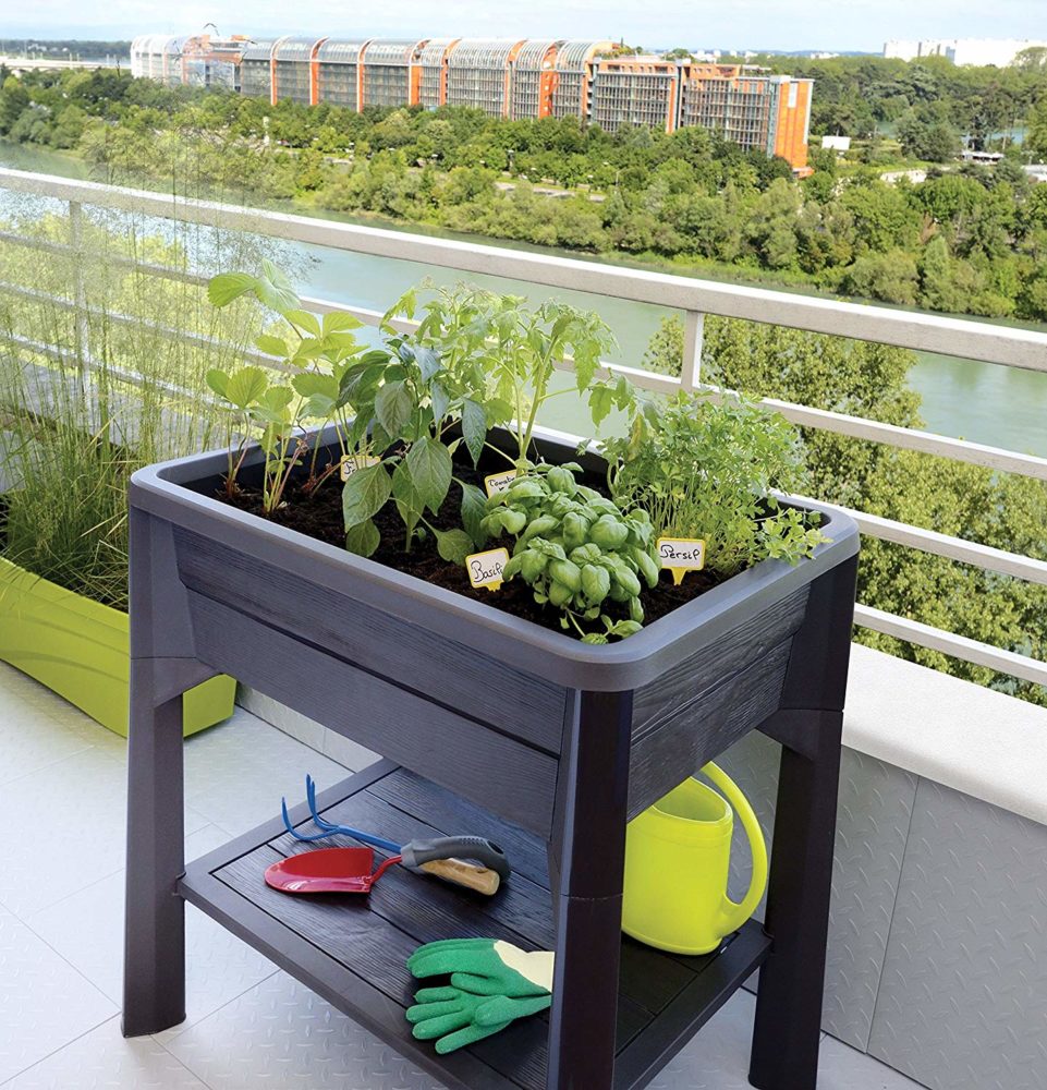 Mon test du bac potager EDA Plastiques Espace potager Végétable — free download