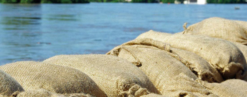 Comparatif des Meilleurs Sacs en Toile de Jute
