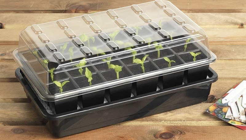 Test - Britten & James® Kit de démarrage de semences Sure Start. Démarrez parfaitement 24 plantes avec ce système de propagation de...
