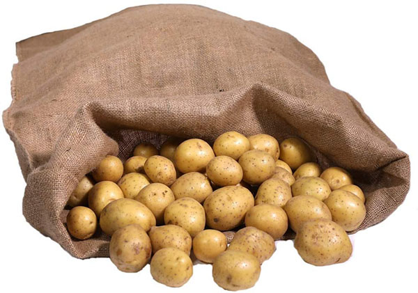 Test - Predominio Premium Lot de 3 grands sacs en toile de jute 105 cm x 60 cm 100 % écologiques