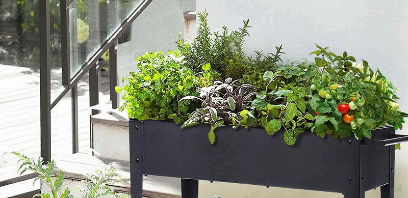 Mon test complet du Chariot Potager urbain KHOMO GEAR 
