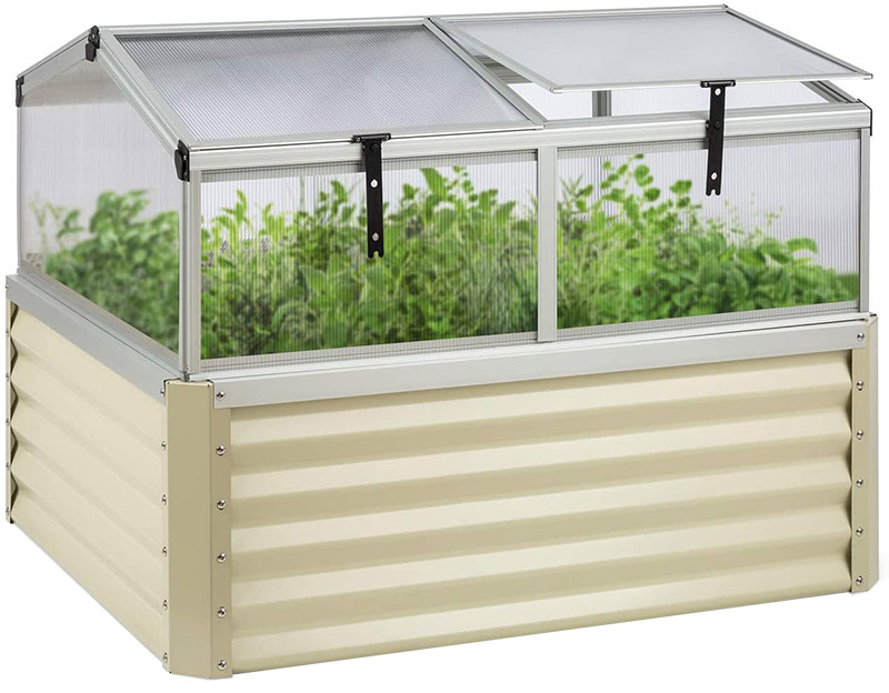 Test Blumfeldt High Grow Advanced