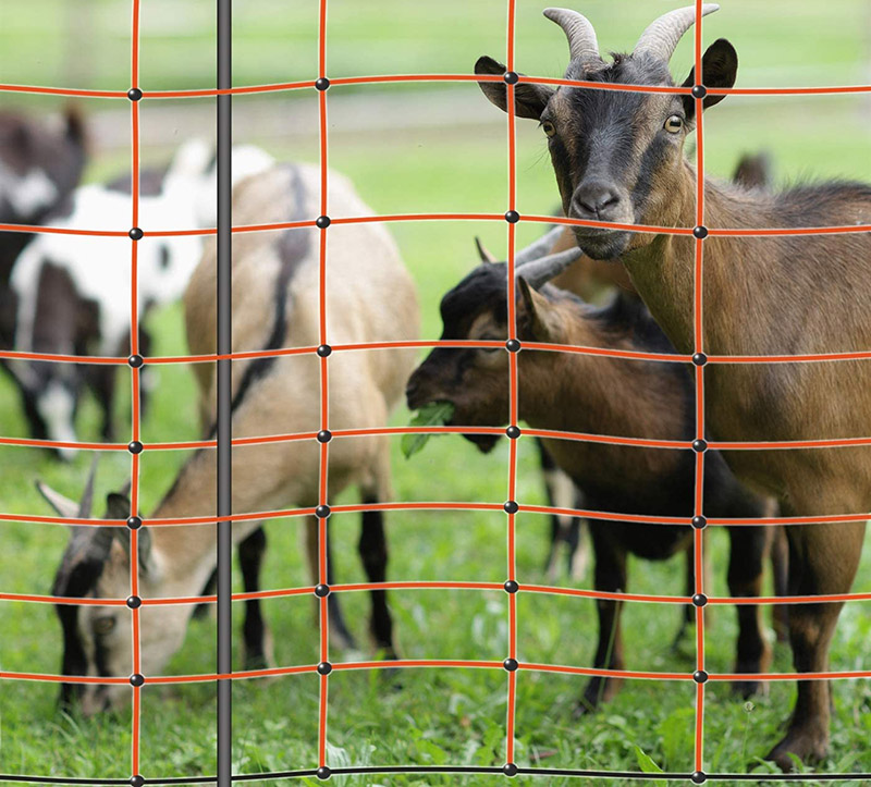 test VOSS.farming Filet électrifiable de clôture pour Moutons chèvres farmNET
