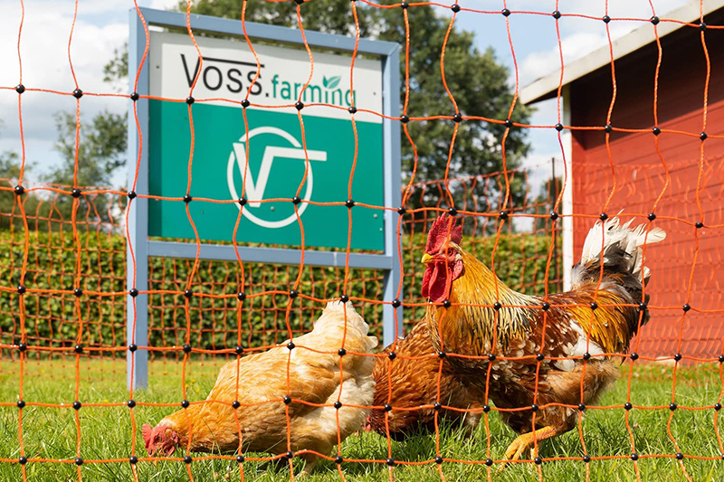 Test et avis VOSS.farming Filet électrifiable de clôture pour volailles farmNET